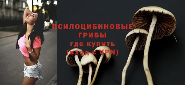 ALPHA PVP Алексеевка