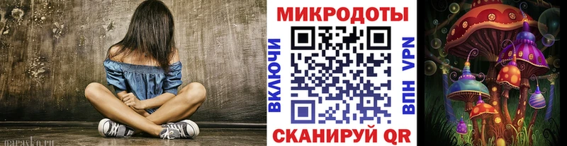 наркота  Тюмень  Псилоцибиновые грибы Cubensis 